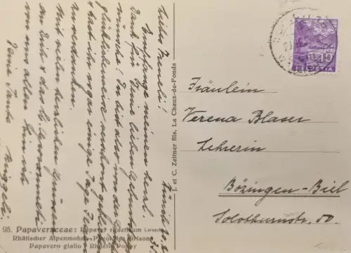 Schweiz HELVETIA 10 (Gebirge), Stempel unleserlich