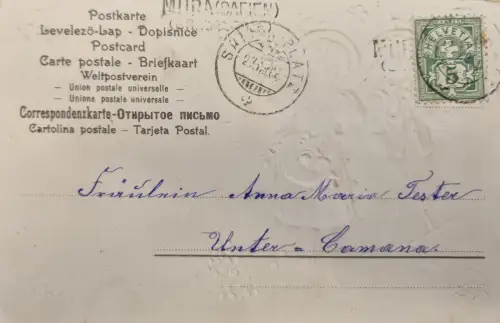 Schweiz Helvetia Wappen 2c, Stempel „MURAG…“