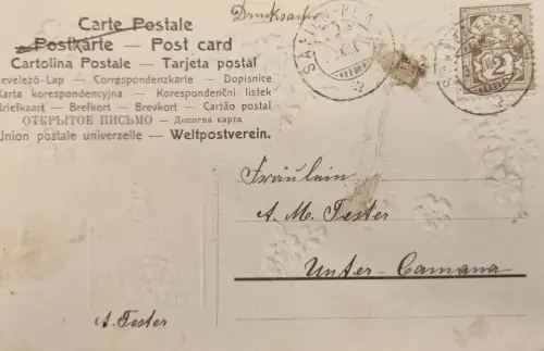 Schweiz Helvetia 2 Fr., Stempel „St. …“