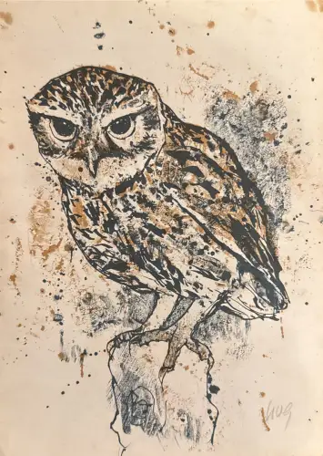 Eule auf Ast; Druckgrafik s/w braun; Papier; Flecken, Spritzer, Randspuren