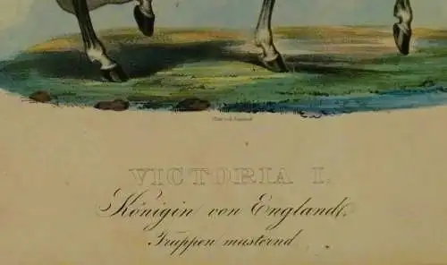 Farblithografie Victoria I, Königin von England von A. Kneisel  