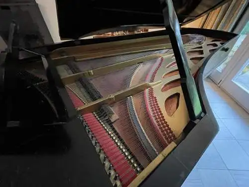 Edler & seltener "Symmetrischer Blüthner Salonflügel" (Bj. 1865)