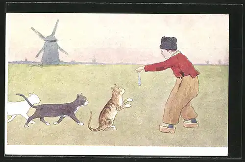 Künstler-AK Brüder Kohn (B.K.W.I) Nr. 648-6: Niederländischer Junge hält drei Katzen einen Fisch hin, Windmühle