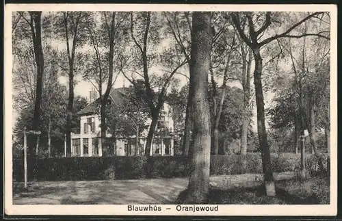 AK Blauwhuis, Oranjewoud, Villa an der Strasse