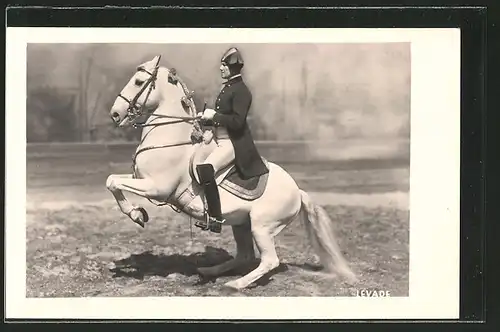 AK Dressurreiten, Levade, Reiter in Uniform auf seinem Pferd beim Steigen