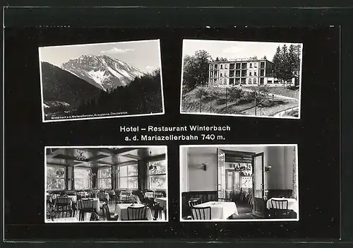 AK Winterbach a. d. Mariazellerbahn, Hotel Winterbach, Oetscherblick