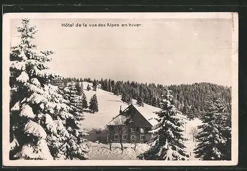 AK Fontaines, Hotel de la vue des Alpes en hiver, Hütte im Winter in den Alpen