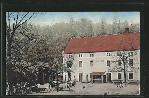 AK Seifersdorf, Gasthaus Gräfl. v. Brühl'sche Marienmühle im Seifersdorfer Tal