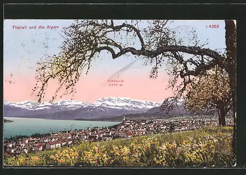 AK Thalwil, Panorama mit Blick zum Glärnisch