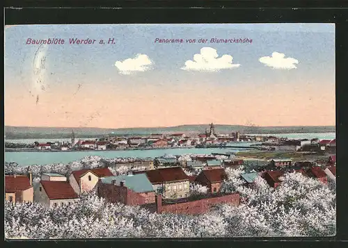 AK Werder, Panorama von der Bismarckshöhe zur Zeit der Baumblüte