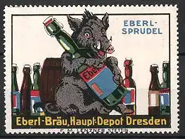 Reklamemarke Eberl-Sprudel der Eberl-Bräu des Haupt-Depot Dresden, Firmenlogo, Eber mit Sprudelflaschen