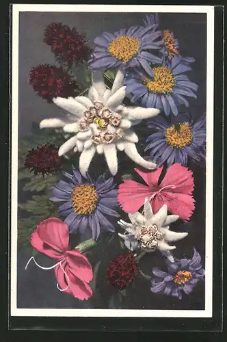 AK Edelweiss und andere Blumen