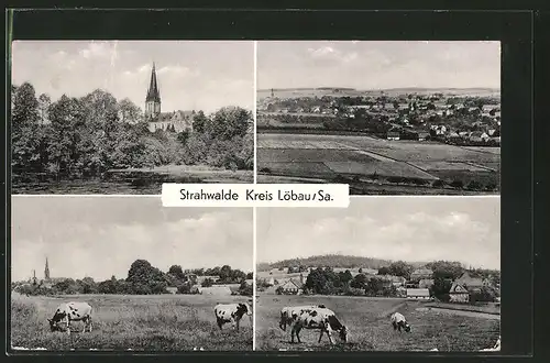 AK Strahwalde, Kirche, Ortsansicht und Kuhherde