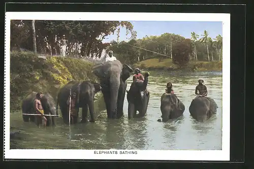 AK badende Elefanten mit Führern