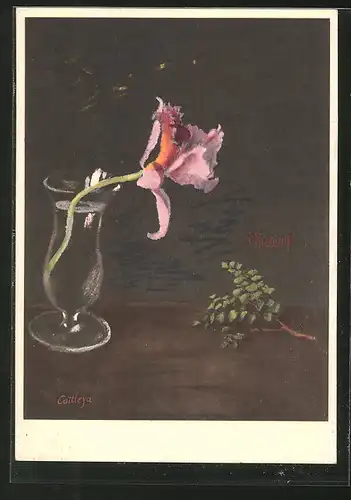 Künstler-AK Ernst Kreidolf: Orchidee