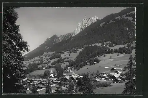 AK Erlenbach i. S., Ortsansicht mit Alpenpanorama