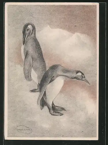 Künstler-AK Swildens: Pinguine auf einer Eisscholle