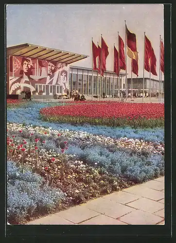 AK Erfurt, Internationale Gartenbau-Ausstellung, IGA, Grosses Blumenbeet, Blick über Festplatz zu den Hallen