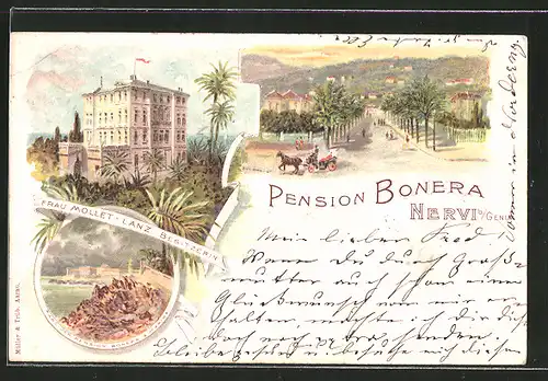 Lithographie Nervi, Pension Bonera v. Mollet-Lanz, Parc de Pension Bonera & Marina, Pferdekutsche