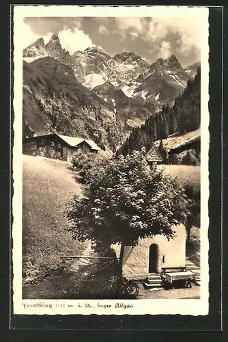 AK Einödsbach, Blick auf den Alpengasthof "Einödsbach" mit Bergpanorama