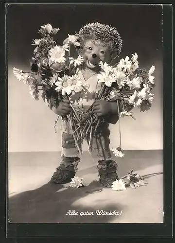 AK Mecki mit Blumenstrauss, Alle Guten Wünsche!
