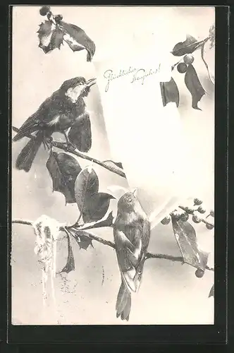 Künstler-AK Brüder Kohn (B.K.W.I) Nr.2622/1: Vögel sitzen auf einem Ast mit Neujahrsgruss auf einem Blatt Papier