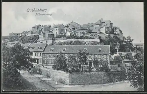 AK Quedlinburg, Blick auf den Münzberg, Langenbergstrasse Ecke Wipertistrasse