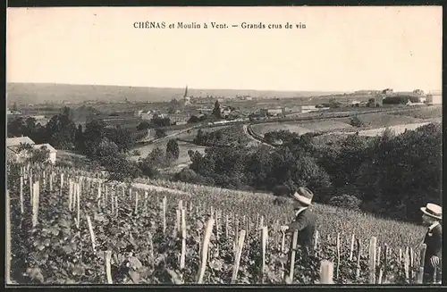 AK Chénas, moulin á Vent, grand crus de vin