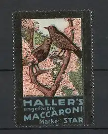 Künstler-Reklamemarke H. Grünbaum, Haller's Makkaroni, Marke Star, Vögel Stare sitzen im Baum