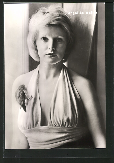 Der Artikel mit der oldthingid 21983207 ist aktuell ausverkauft.