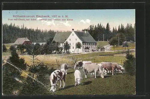 AK Escheck, Gasthof und Pension zum Kreuz, Kuhherde auf der Weide