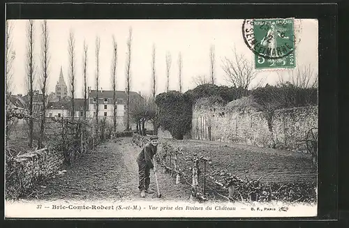 AK Brie-Comte-Robert, vue prise des ruines du château