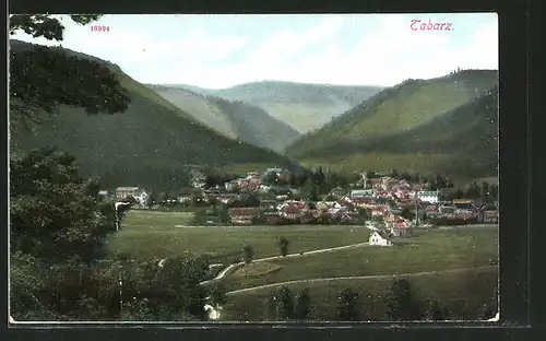 AK Tabarz, Blick vom Waldesrand auf die Ortschaft