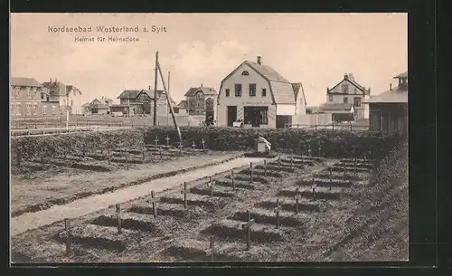 AK Westerland, Friedhof für Heimatlose, Elisabethstrasse
