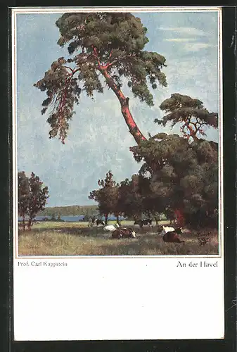 Künstler-AK Wohlgemuth & Lissner, Primus-Postkarte No. 5032: An der Havel, Idyll mit Rindern