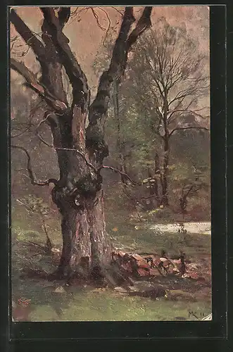 Künstler-AK Wohlgemuth & Lissner, Primus-Postkarte No. 824: Der deutsche Wald, knorriger Baum