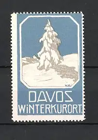 Reklamemarke Davos, Winterkurort, eingeschneite Tanne in den Schweizer Alpen
