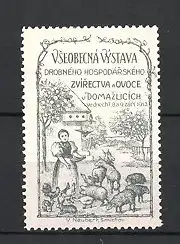 Reklamemarke Domazlicich, Vseobecna Vystava drobného hospodárského 1913, Bäuerin füttert Tiere