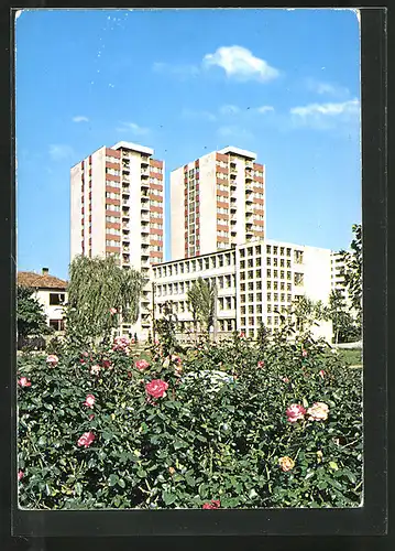 AK Kraljevo, Hochhaus-Siedlung