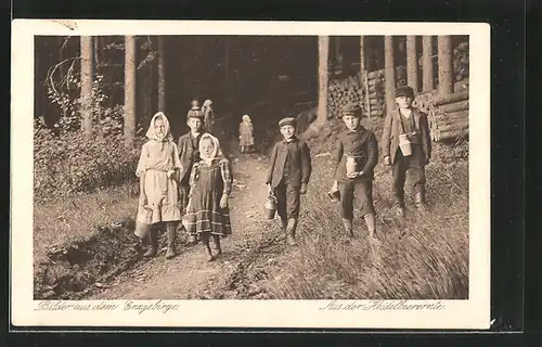 AK Land und Leute im oberen Erzgebirge, Aus der Heidelbeerernte, Kinder