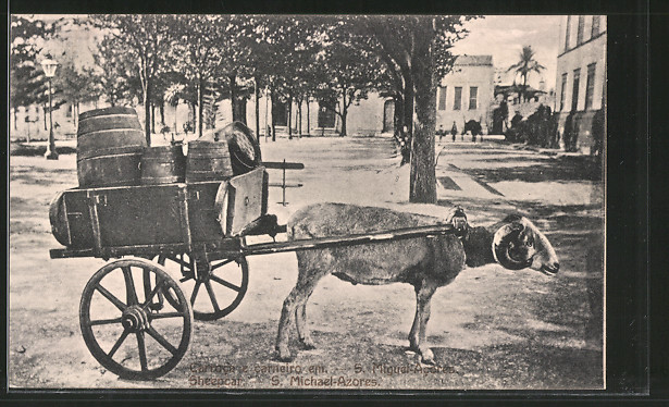 Datierung in san miguel de allende