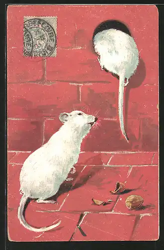 AK Weisse Mäuse mit Haselnüssen an einem Loch in der Mauer