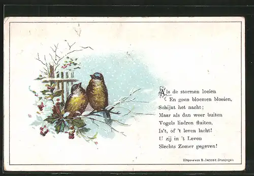 Vorläufer-Lithographie zwei Vögel sitzen auf einem Zweig, 1894