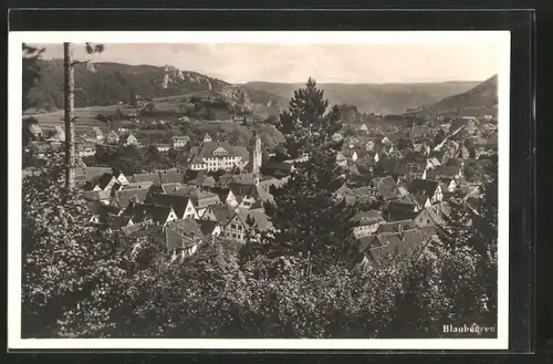 AK Blaubeuren, Blick vom Blauberg auf die Ortschaft