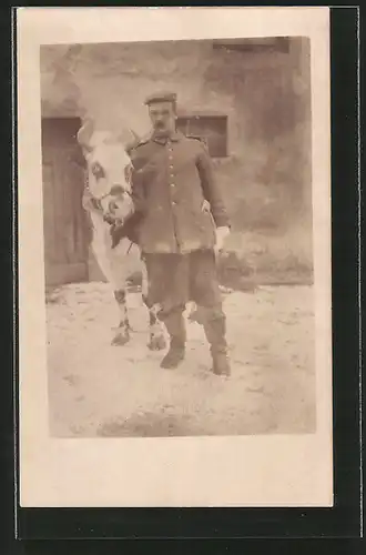 Foto-AK Feldgrauer Soldat posiert mit Rind, Kuh, Vieh