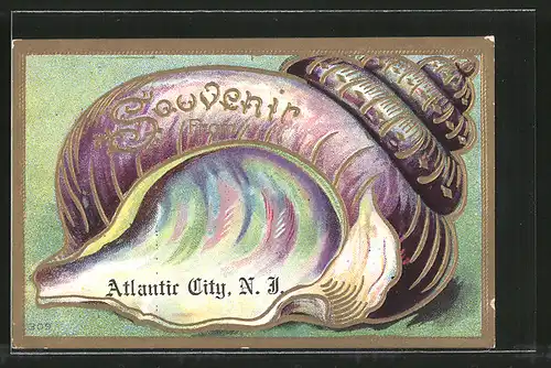 Passepartout-Lithographie Atlantic City, eine grosse Muschel