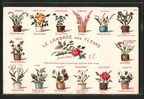 Präge-AK Le Langage des Fleurs, Blumensprache, Je vous adore!