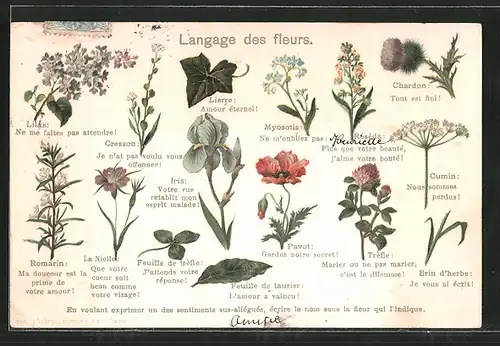 Lithographie Langage des fleurs, Blumensprache, Iris, Lierre, Chardon, Cumin, Lilas, Cresson