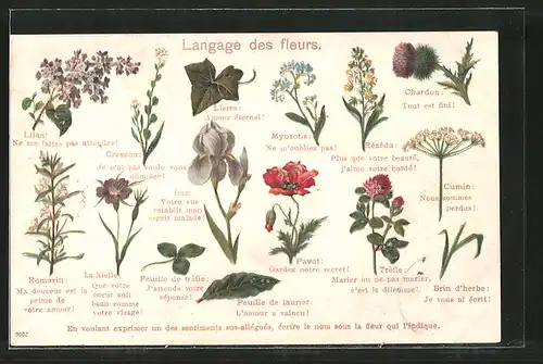Lithographie Langage des fleurs, Blumensprache, verschiedene Blüten und ihre Bedeutung, Lierre, Myosotis, Réséda, Cumin