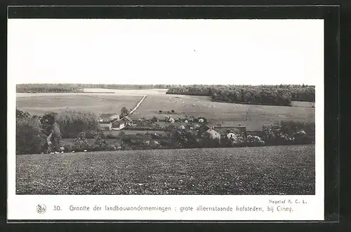 AK Ciney, Grootte der landbouwernemingen, grote alleenstaande hofsteden, Bauernhöfe